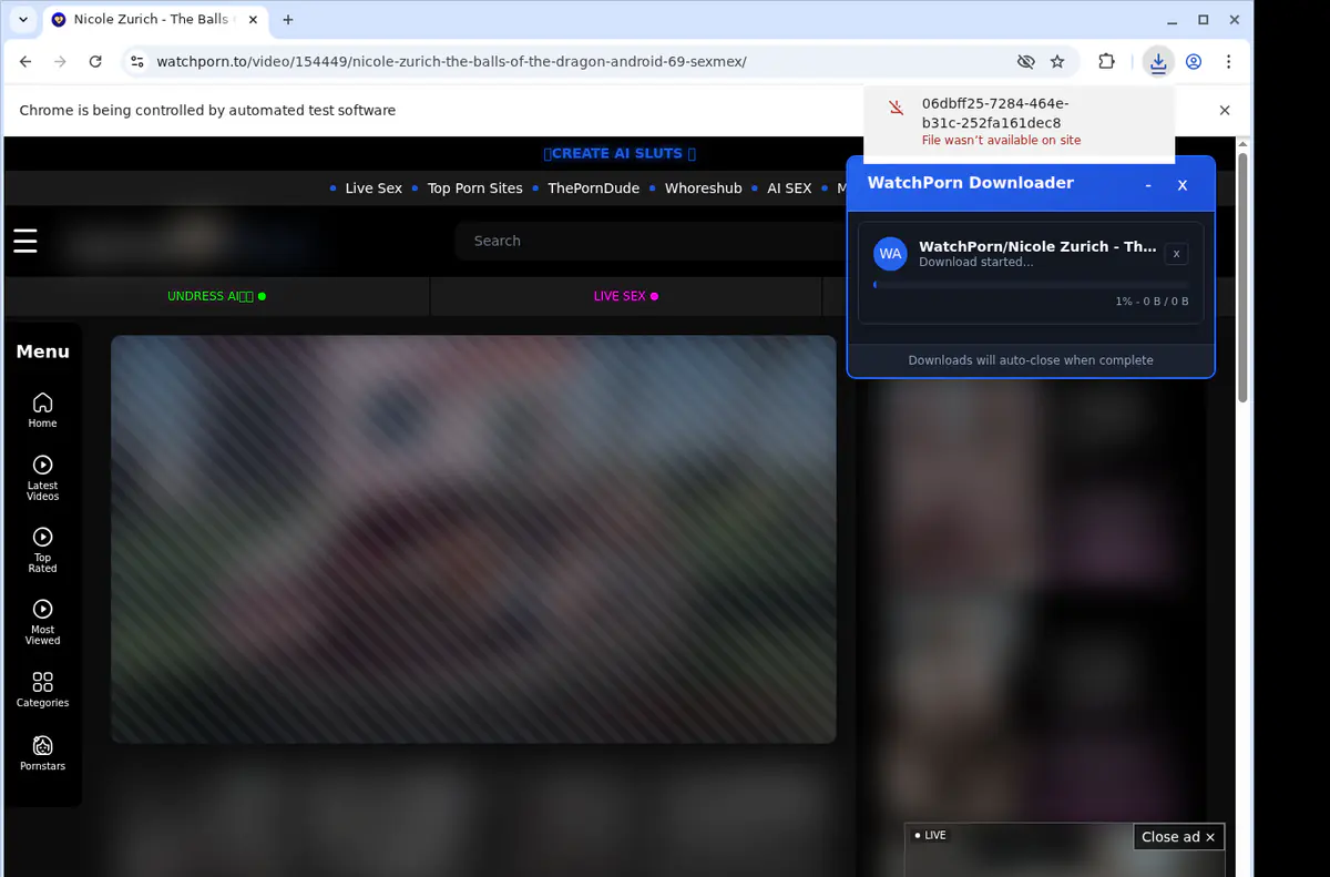 Watchporn Video Downloader screenshot 2
