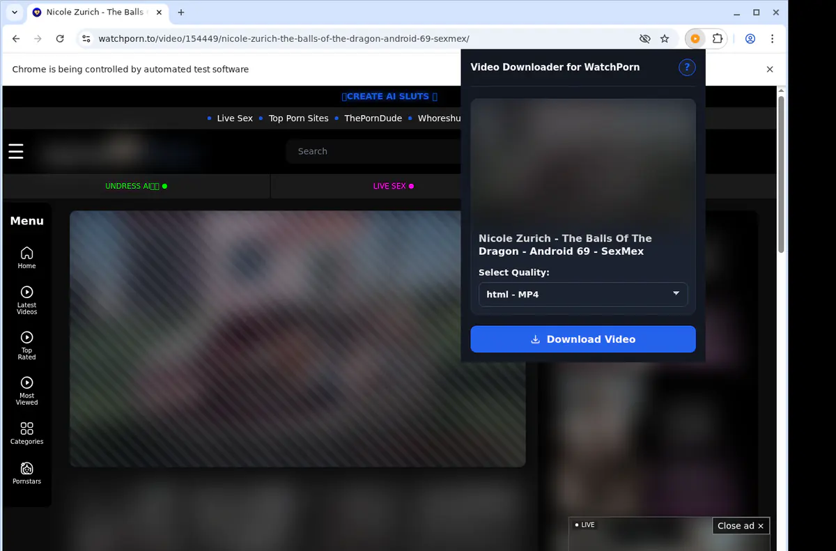 Watchporn Video Downloader screenshot 3